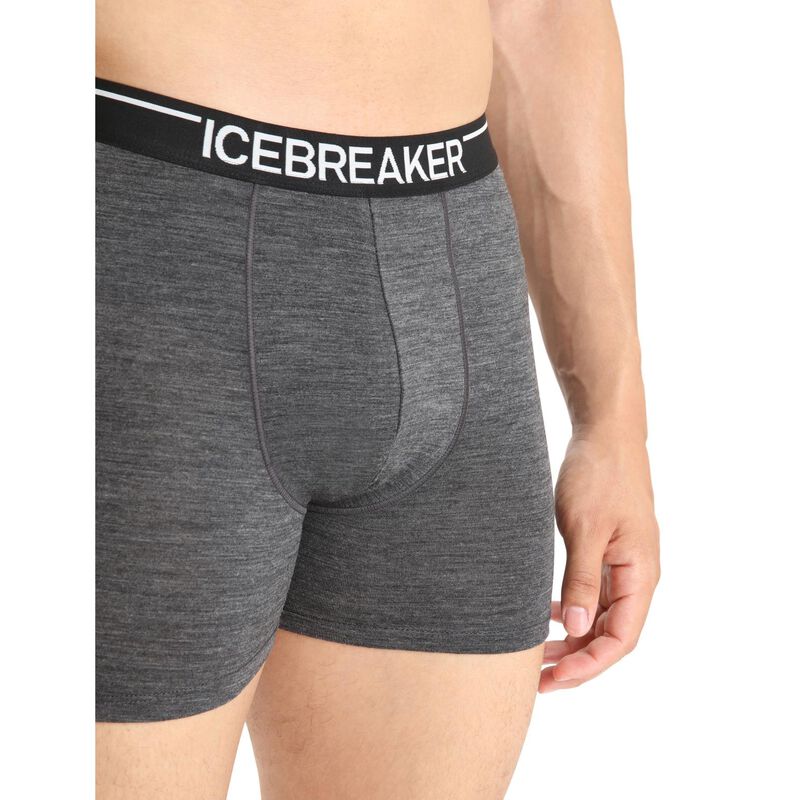 Icebreaker Mens Anatomica Boxers image number 2